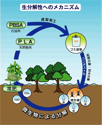 生分解性へのメカニズム